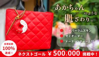 クラウドファンディングプロジェクト："天使の肌にふれる"「HURELバッグ」特別先行販売～障がい者の工賃向上を目指して～