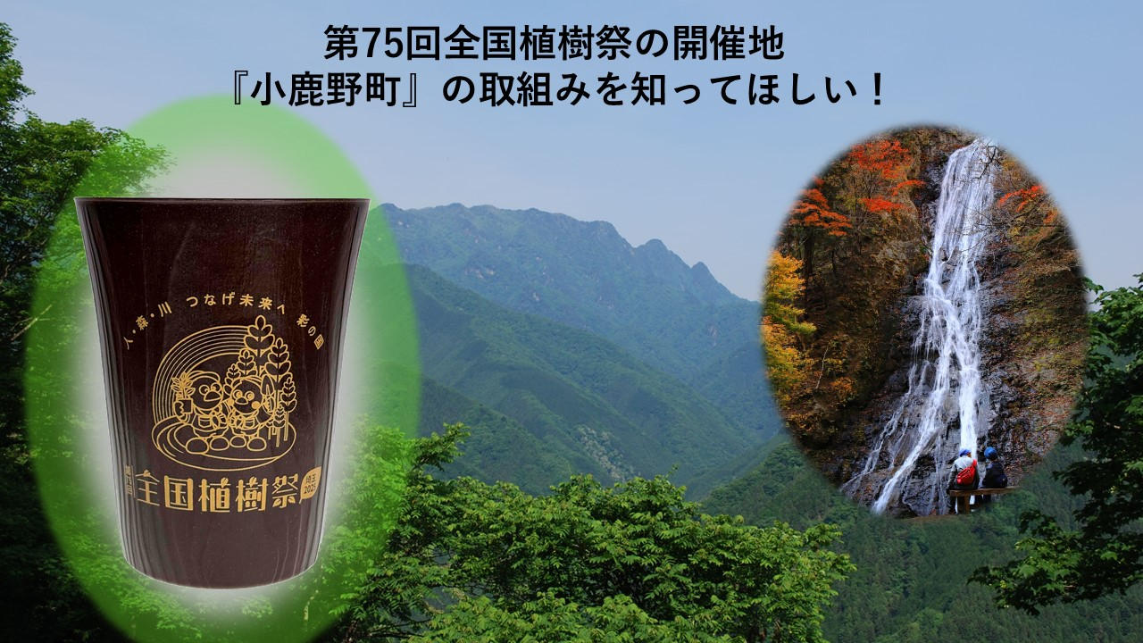 埼玉の水源・小鹿野町の豊かな森を次世代へ。ヒノキの端材から生まれ