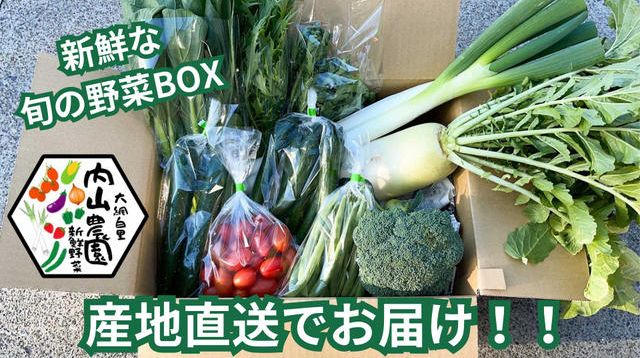 家族の笑顔を育てる「届いてびっくり野菜BOX」新鮮なこだわり野菜を