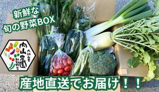クラウドファンディングプロジェクト:家族の笑顔を育てる「届いてびっくり野菜BOX」新鮮なこだわり野菜を内山農園から直送します!