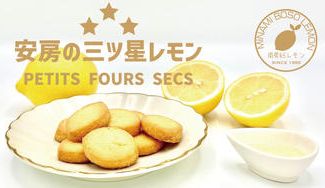 クラウドファンディングプロジェクト：安房の三ツ星レモン PETITS FOURS SECSー千葉県LFP（ローカルフードプロジェクト）ー