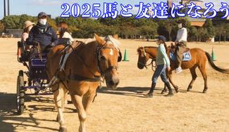 クラウドファンディングプロジェクト：御堂筋に馬車を走らせよう❣️