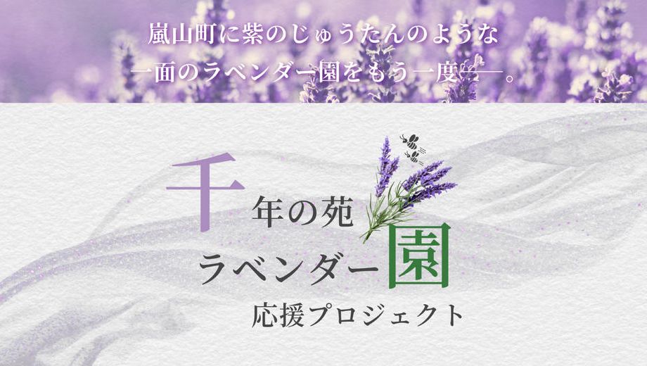 クラウドファンディングプロジェクト：【嵐山町の挑戦】『まち』と『ひと』で紡ぐ紫のじゅうたん。咲き誇るラベンダーをもう一度