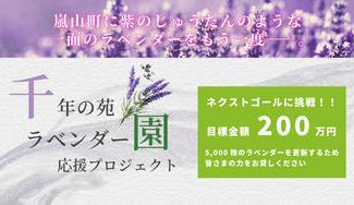 クラウドファンディングプロジェクト：【嵐山町の挑戦】『まち』と『ひと』で紡ぐ紫のじゅうたん。咲き誇るラベンダーをもう一度