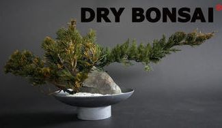 クラウドファンディングプロジェクト：【すべて１点もの】伝統と革新の融合。メンテナンス不要の「ドライ盆栽®」C-VALUE特別販売！