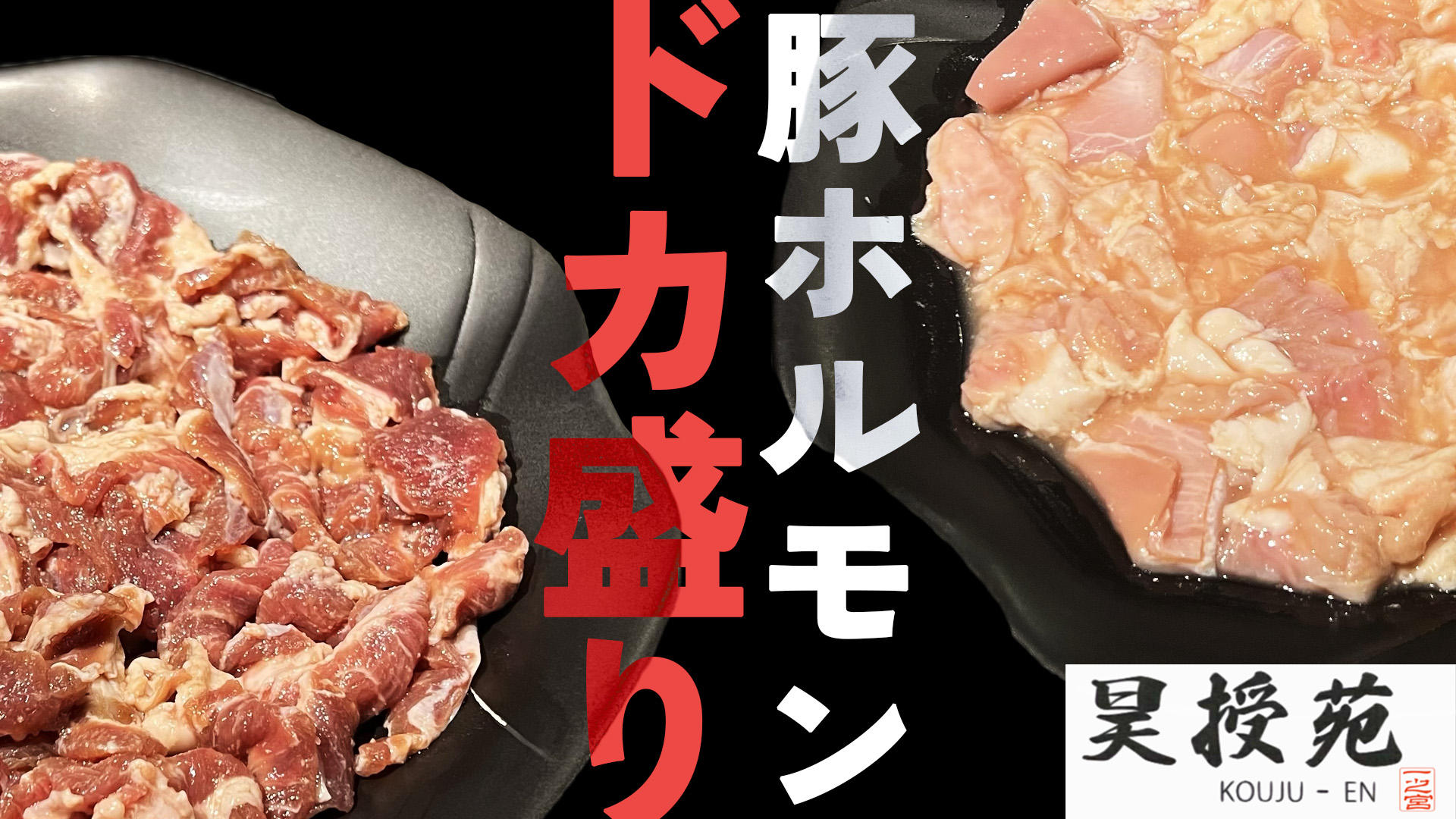 コスパ最強！「ドカ盛り豚ホルモン」プロジェクト | クラウドファン