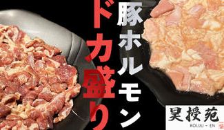 クラウドファンディングプロジェクト：コスパ最強！「ドカ盛り豚ホルモン」プロジェクト