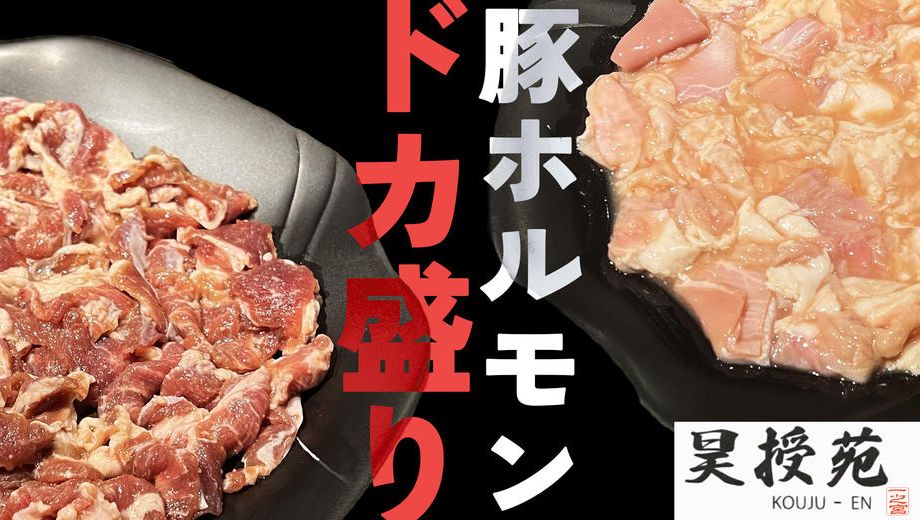 クラウドファンディングプロジェクト：コスパ最強！「ドカ盛り豚ホルモン」プロジェクト