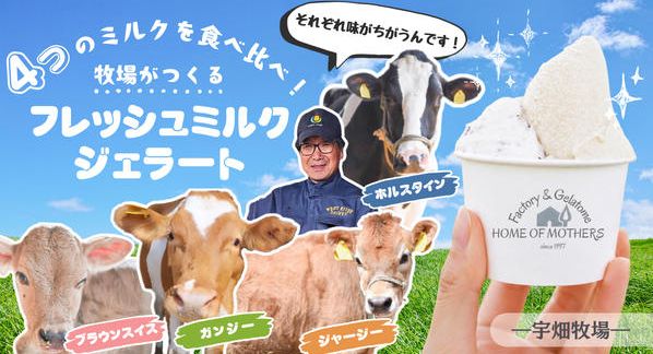 クラウドファンディングプロジェクト：牛乳の味ってこんなに違うの！？4品種のミルクを“食べ”くらべる　宇畑牧場のジェラートセット