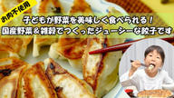 クラウドファンディングプロジェクト：ジューシーなのにヘルシー！！家族が笑顔になる国産野菜＆雑穀たっぷり餃子