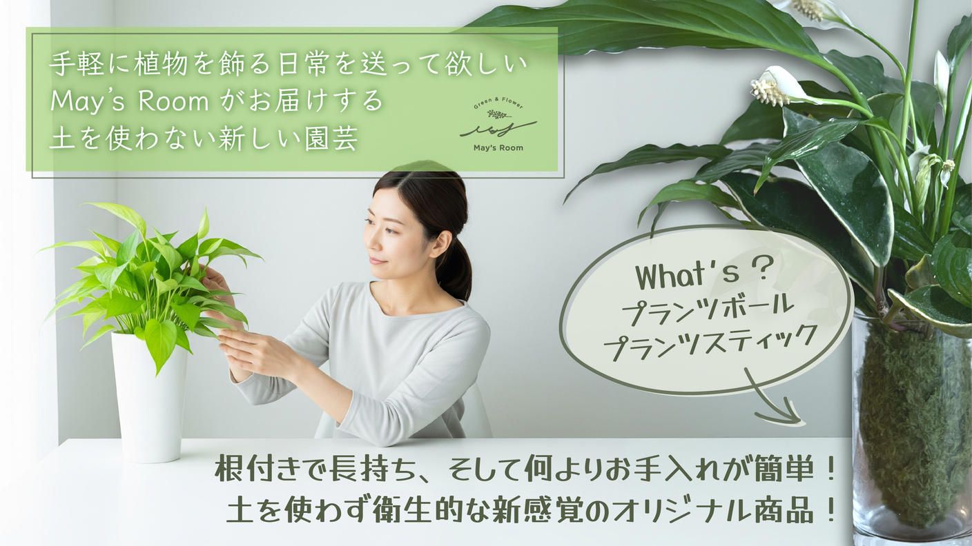 クラウドファンディングプロジェクト：土を使わず長持ちする「プランツボール・プランツスティック」で手軽に植物を飾る日常を