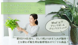 クラウドファンディングプロジェクト：土を使わず長持ちする「プランツボール・プランツスティック」で手軽に植物を飾る日常を