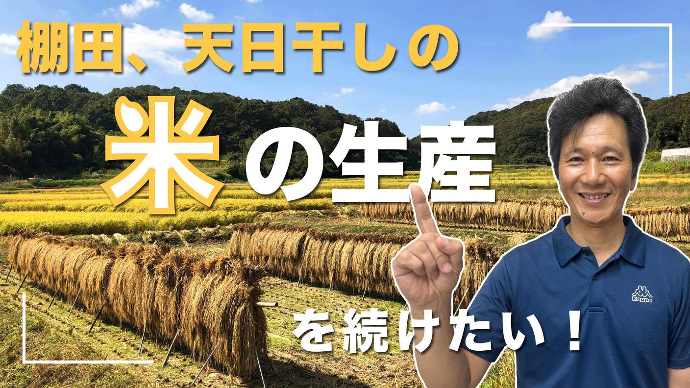 クラウドファンディングプロジェクト：棚田、天日干しの米の生産を続けたい！