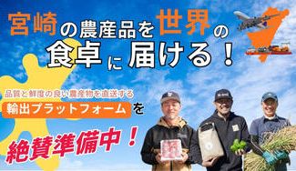 クラウドファンディングプロジェクト：宮崎県産の農産物を輸出し、海外市場への挑戦を開始したい！