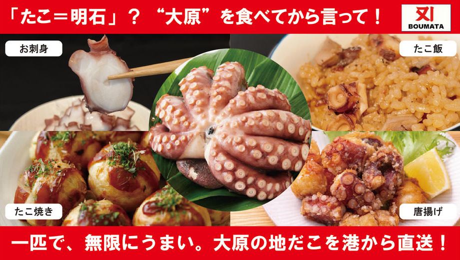 クラウドファンディングプロジェクト：明石と並ぶ日本の２大タコ！ぷりぷりで旨味溢れ出す大原産“地だこ”を港から直送！