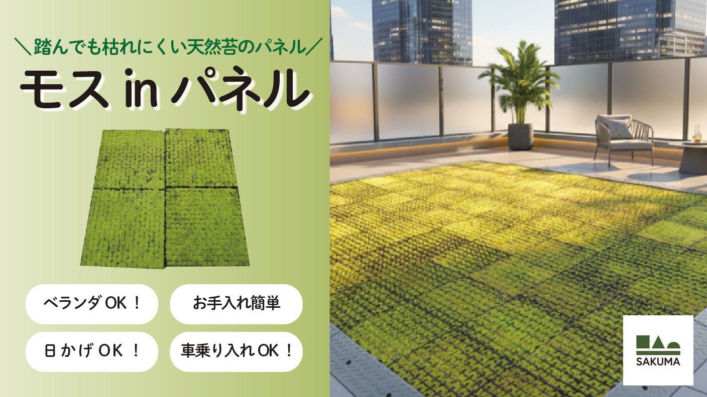 クラウドファンディングプロジェクト：お手入れ簡単！ベランダOK！芝のように使える踏んでも枯れにくい天然苔「モスinパネル」