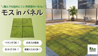 クラウドファンディングプロジェクト：お手入れ簡単！ベランダOK！芝のように使える踏んでも枯れにくい天然苔「モスinパネル」