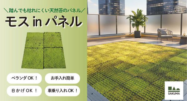 クラウドファンディングプロジェクト：お手入れ簡単！ベランダOK！芝のように使える踏んでも枯れにくい天然苔「モスinパネル」