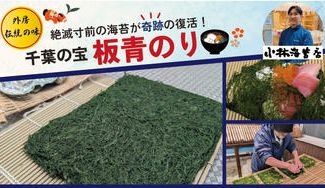 クラウドファンディングプロジェクト：失われた年明けの香りを取り戻せ！千葉の宝「板青のり」が陸上養殖で奇跡の復活！