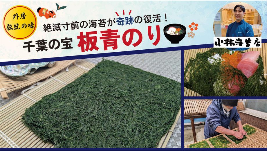 クラウドファンディングプロジェクト：失われた年明けの香りを取り戻せ！千葉の宝「板青のり」が陸上養殖で奇跡の復活！