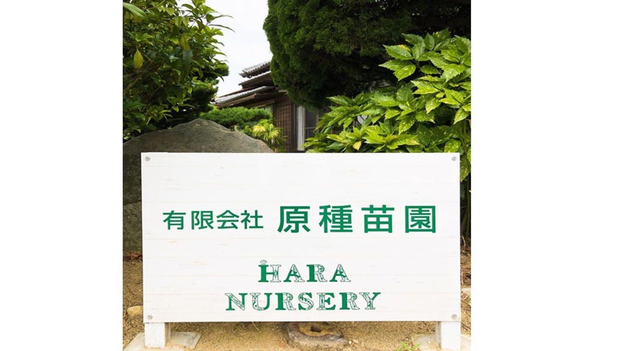 みやきの命をつなぐ苗プロジェクト