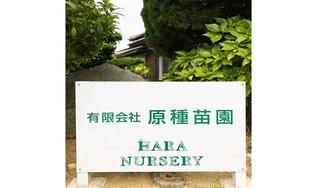 クラウドファンディングプロジェクト：みやきの命をつなぐ苗プロジェクト