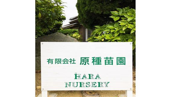 クラウドファンディングプロジェクト：みやきの命をつなぐ苗プロジェクト