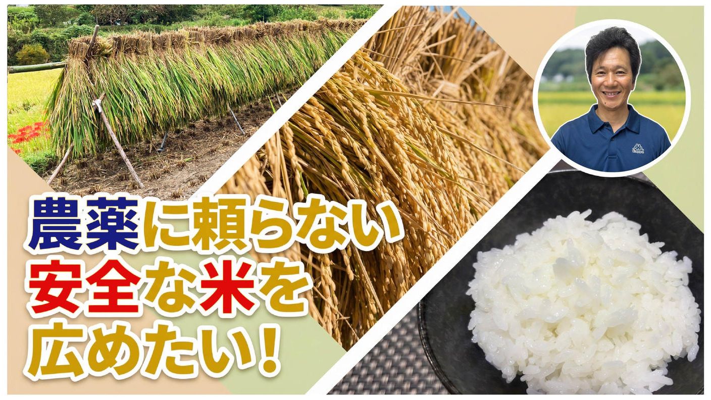 クラウドファンディングプロジェクト：農薬に頼らない安全な米を広めたい!!