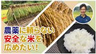 クラウドファンディングプロジェクト：農薬に頼らない安全な米を広めたい!!
