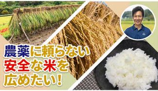 クラウドファンディングプロジェクト：農薬に頼らない安全な米を広めたい!!