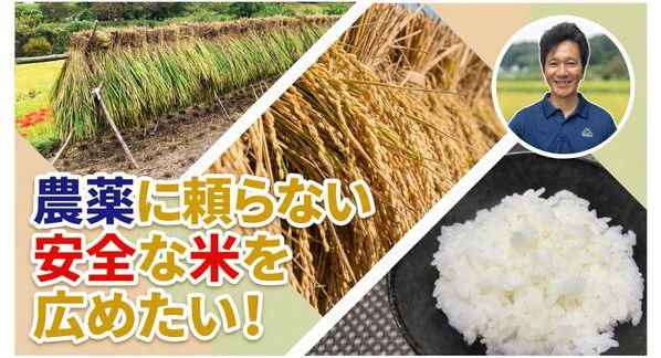 クラウドファンディングプロジェクト：農薬に頼らない安全な米を広めたい!!