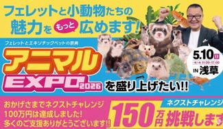 クラウドファンディングプロジェクト：アニマルEXPOを盛り上げたい！