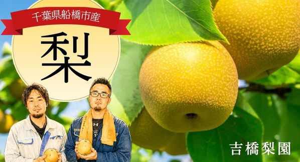 クラウドファンディングプロジェクト：梨に熱い思いをかけた兄弟の挑戦！船橋の吉橋梨園から最旬の梨を直送します！