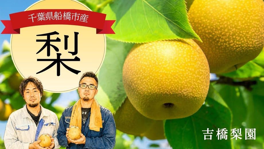 クラウドファンディングプロジェクト：梨に熱い思いをかけた兄弟の挑戦！船橋の吉橋梨園から最旬の梨を直送します！