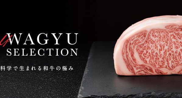 クラウドファンディングプロジェクト：CRAFT WAGYU SELECTION公式ストア