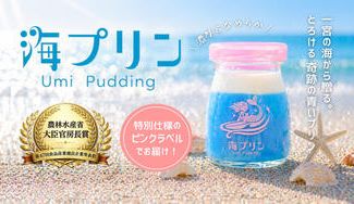 クラウドファンディングプロジェクト：一宮の海からの贈りもの。農林水産省大臣官房長賞受賞！濃厚＆なめらか「奇跡の青い海プリン」特別販売