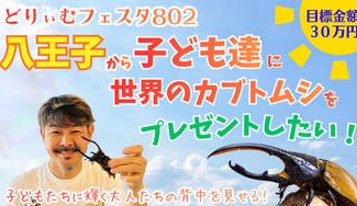 クラウドファンディングプロジェクト：どりいむフェスタ２０２６ 当日子供達にプレゼントする昆虫キャラバン