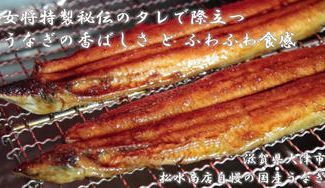 クラウドファンディングプロジェクト：【土用の丑の日】秘伝タレが決め手。老舗が仕上げる国産うなぎ！