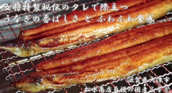 クラウドファンディングプロジェクト：【土用の丑の日】秘伝タレが決め手。老舗が仕上げる国産うなぎ！