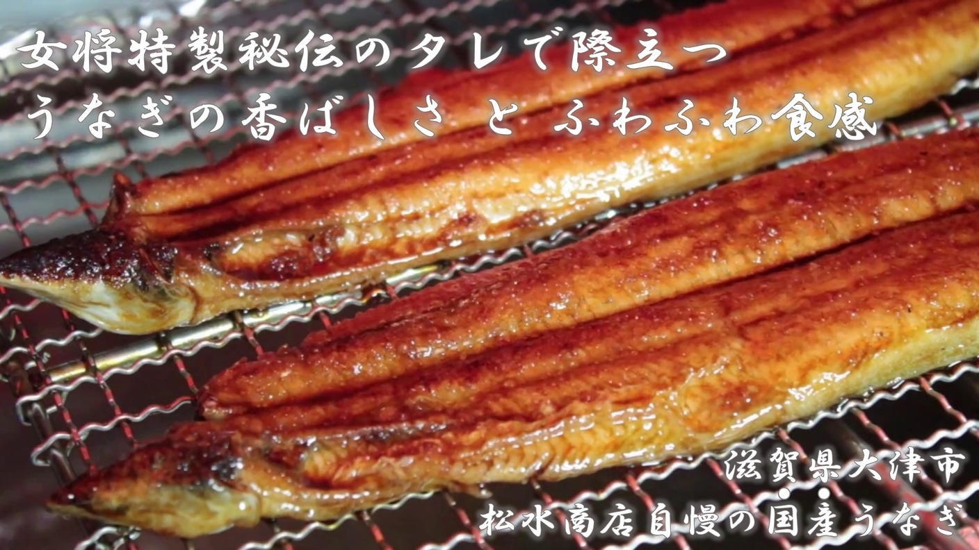 クラウドファンディングプロジェクト：【土用の丑の日】秘伝タレが決め手。老舗が仕上げる国産うなぎ！