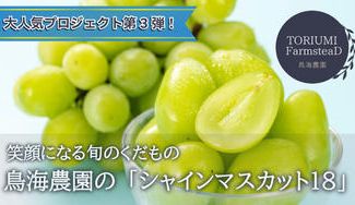 クラウドファンディングプロジェクト：甘さとジューシーさを楽しむ至福の一粒。加須市の鳥海農園がお届けする「シャインマスカット18」第3弾