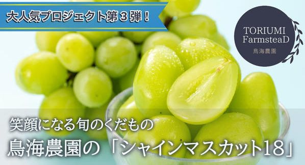 クラウドファンディングプロジェクト：甘さとジューシーさを楽しむ至福の一粒。加須市の鳥海農園がお届けする「シャインマスカット18」第3弾