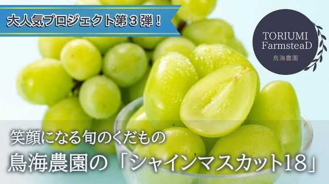 甘さとジューシーさを楽しむ至福の一粒。加須市の鳥海農園がお届けする