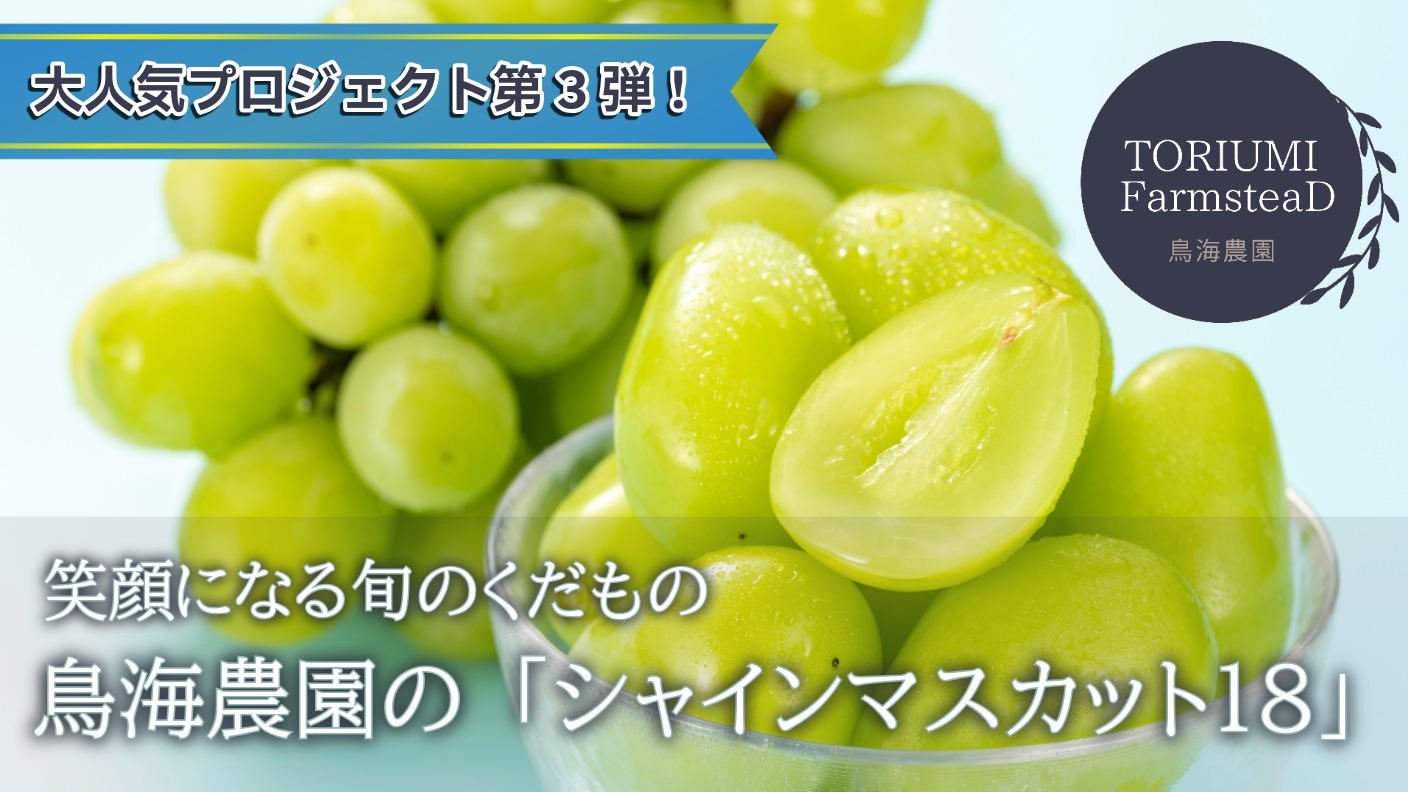 クラウドファンディングプロジェクト：甘さとジューシーさを楽しむ至福の一粒。加須市の鳥海農園がお届けする「シャインマスカット18」第3弾