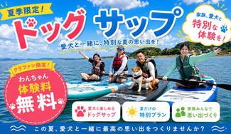 クラウドファンディングプロジェクト：愛犬と“海の上デビュー”！館山・透明ブルーの海で楽しむドッグSUP体験