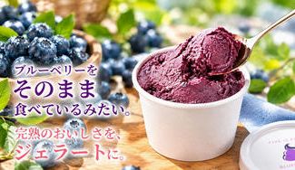 クラウドファンディングプロジェクト：農園育ちの完熟ブルーベリーをジェラートに。ファイブイズホームの新たな挑戦で、行田に新しい楽しみを。
