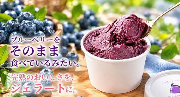 クラウドファンディングプロジェクト：農園育ちの完熟ブルーベリーをジェラートに。ファイブイズホームの新たな挑戦で、行田に新しい楽しみを。