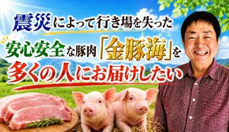 クラウドファンディングプロジェクト：震災によって行き場を失った安心安全な豚肉「金豚海」を多くの人にお届けしたい