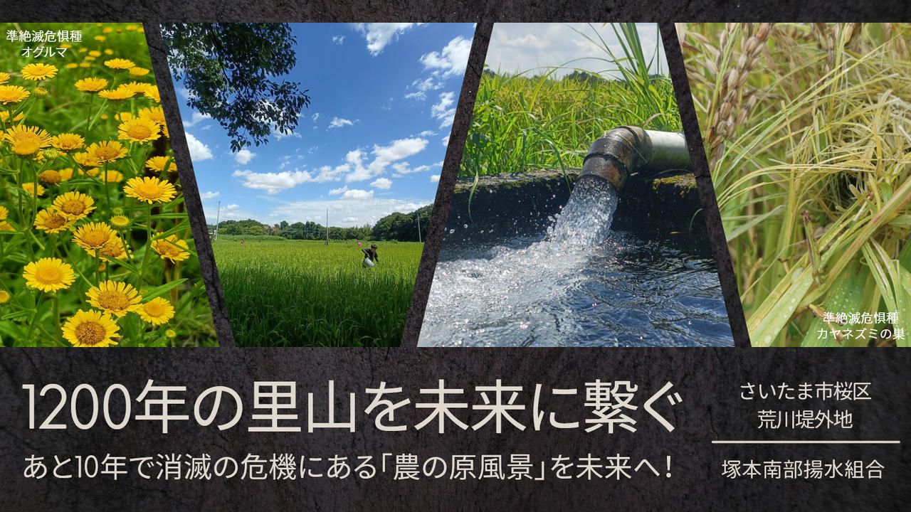 1200年続く田んぼがあと10年で消滅の危機。さいたま市が誇る里山「塚本郷」を未来に繋ぐ