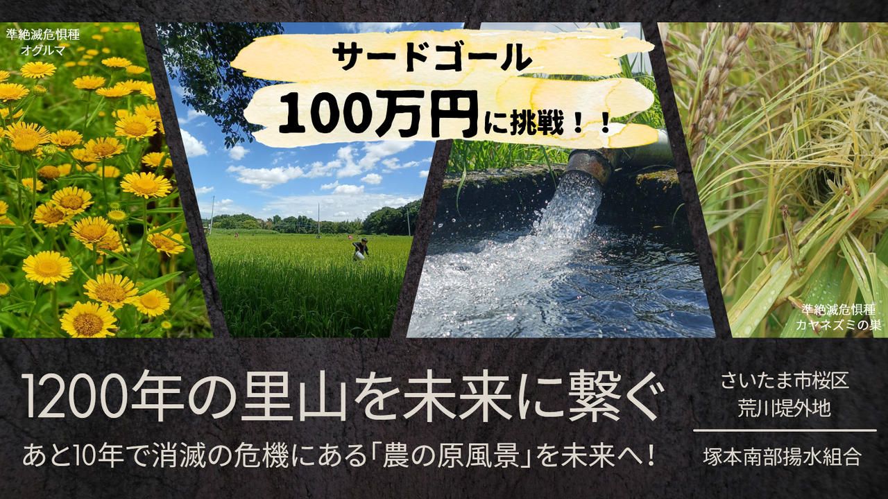1200年続く田んぼがあと10年で消滅の危機。さいたま市が誇る里山「塚本郷」を未来に繋ぐ